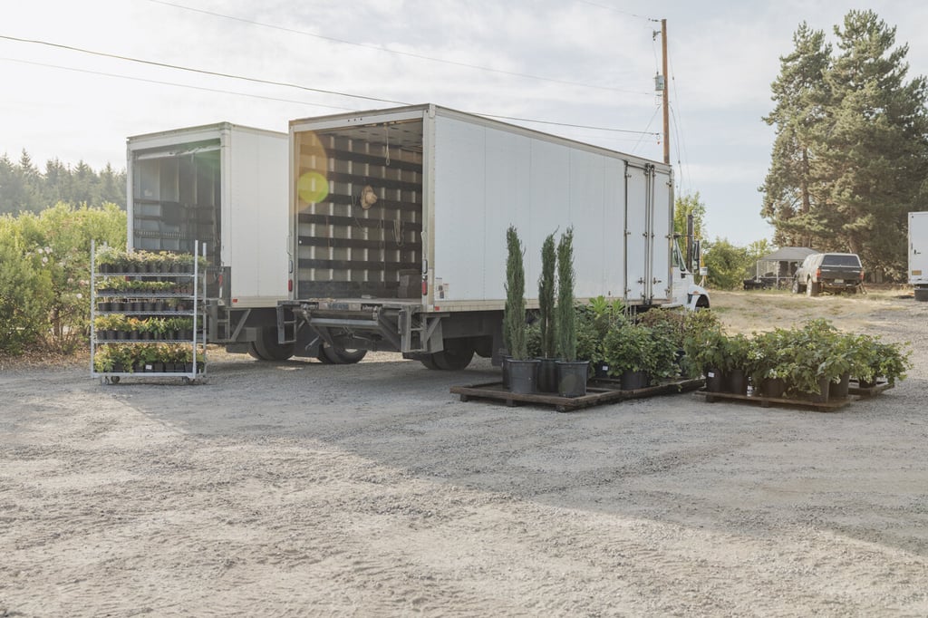 Two R&M box trucks staged at the nursery yard beside pallets of container shrubs and an empty plant rack.