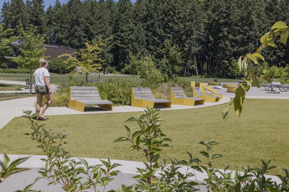 An established public park landscape with lawn, timber benches and mature planted borders.