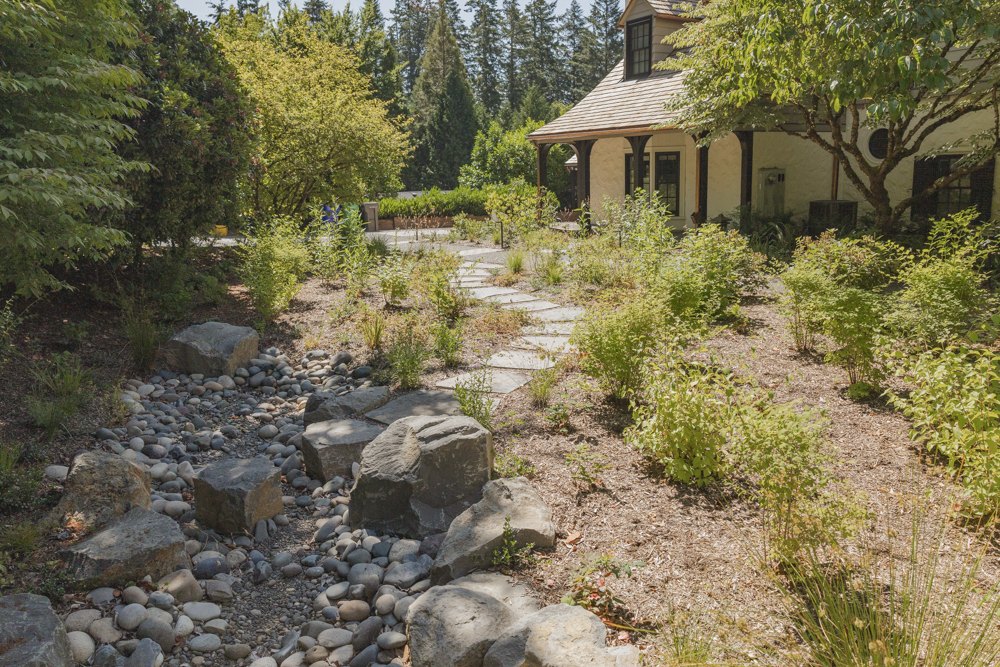A dry creek bed of boulders and river rock planted through with shrubs and trees beside a house.