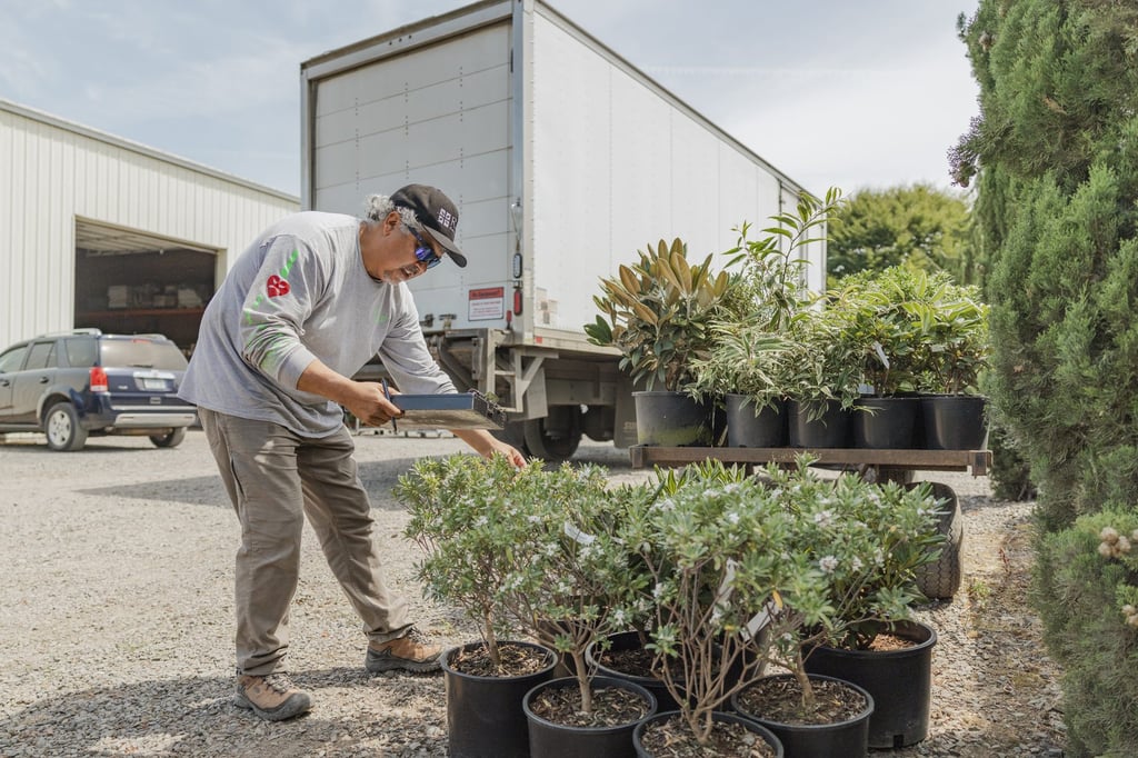 A crew member arranging container shrubs staged beside a loaded box truck.