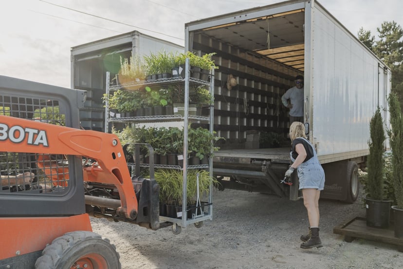 Crew rolling a loaded plant rack toward a box truck at the Salem nursery.