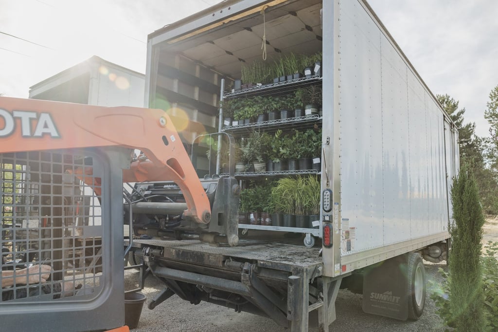 A skid steer loading racked plant material into the back of an R&M box truck.