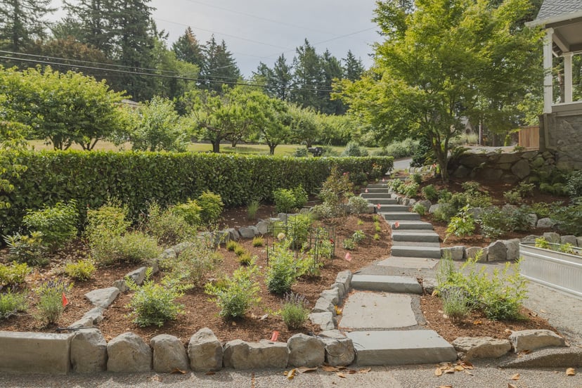 A finished residential planting of shrubs and perennials edged in stone with a flagstone stair climbing to the house.