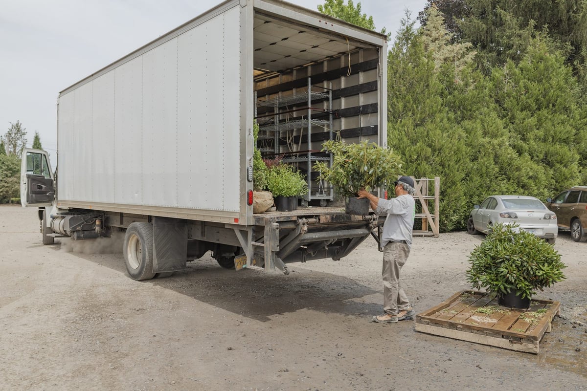 A crew member unloading container plants from a box truck at a delivery stop.